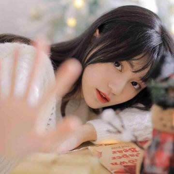 加拿大pc软件平台