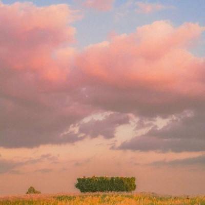 英雄联盟外围平台网址下载手机版