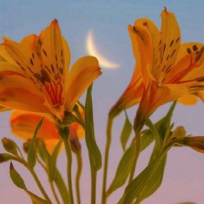 中欧·体育(KOK)中国官方网站